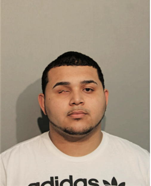 VICTOR W TORRES, Cook County, Illinois