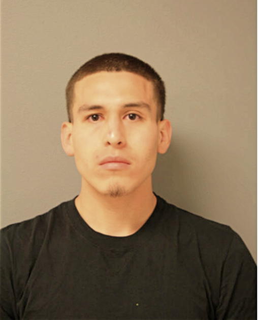 FELIX P ZEPEDA, Cook County, Illinois
