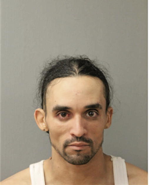 ANDRE L ALMANZA, Cook County, Illinois