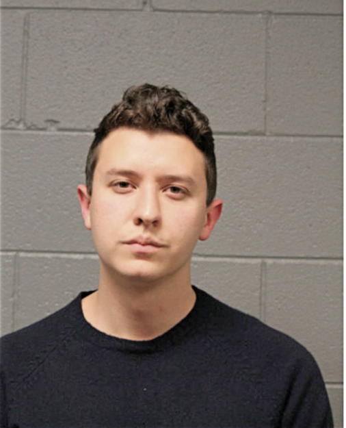 DYLAN M AMLIN, Cook County, Illinois