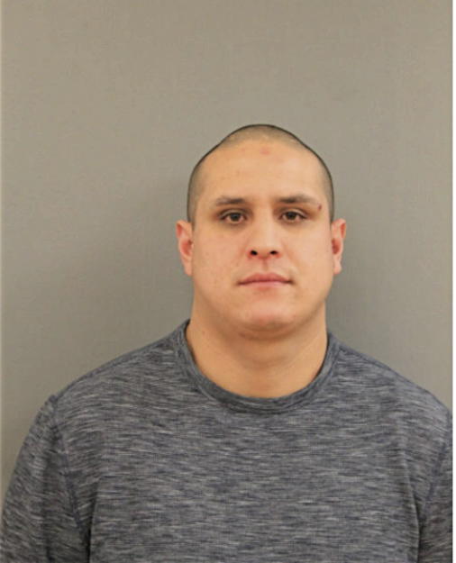 PORFIRIO ANAYA-SERRANO, Cook County, Illinois