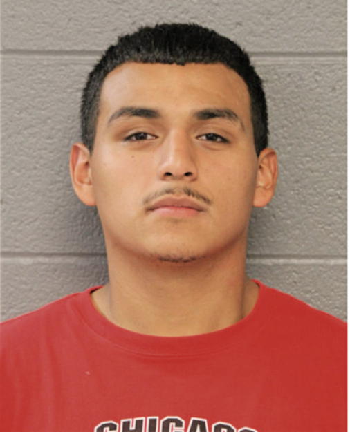 VICTOR M ARRIETA, Cook County, Illinois