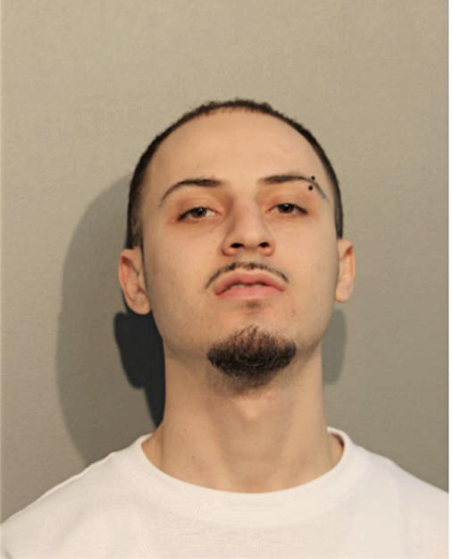 DANI S ASMARO, Cook County, Illinois