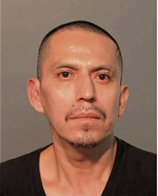 IGNACIO AVELAR, Cook County, Illinois