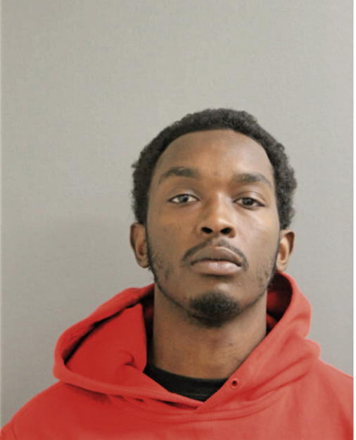 TIMOTHY D DAVENPORT-DYE, Cook County, Illinois