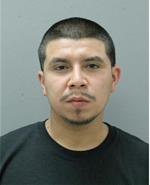 MIGUEL A DEL REAL, Cook County, Illinois