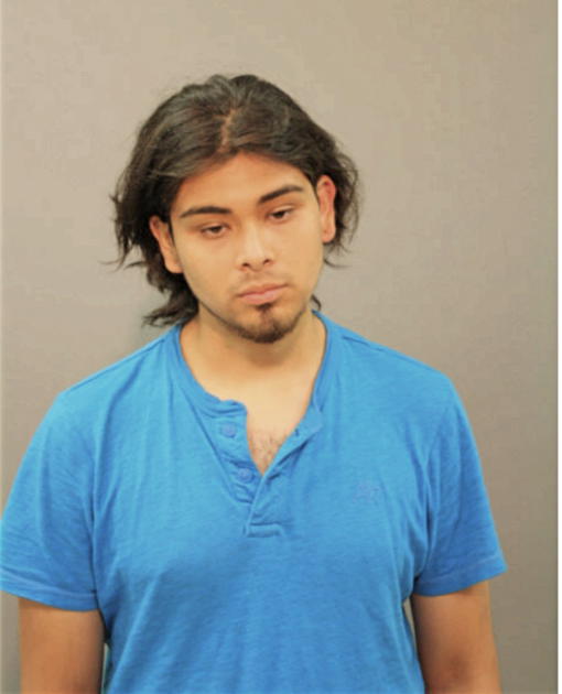 ENRIQUE DELGADO, Cook County, Illinois