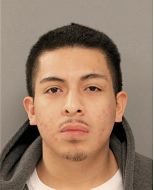 ERWIGN DELGADO, Cook County, Illinois