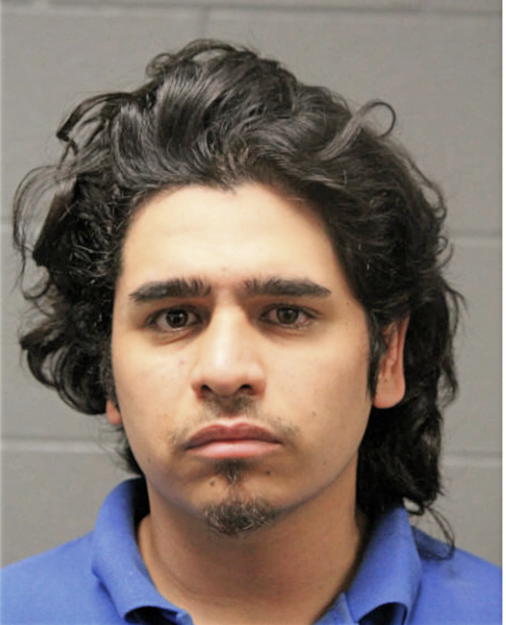 ALEJANDRO DIAZ, Cook County, Illinois