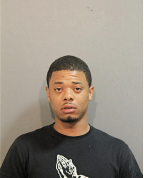 LEROY L ELLIS, Cook County, Illinois