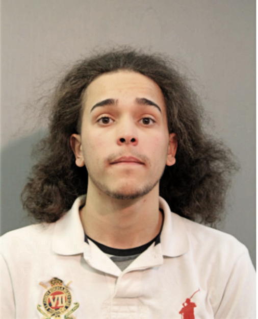 LUIS FONSECA, Cook County, Illinois