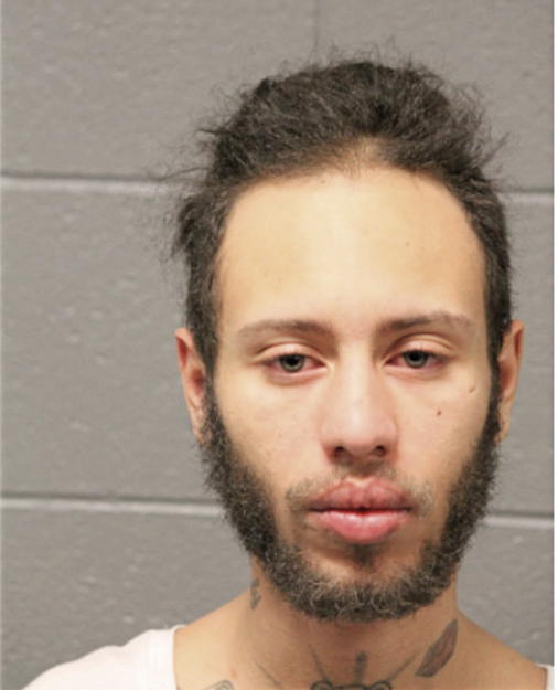NICHOLAS J GRADY, Cook County, Illinois