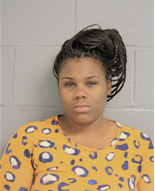 CHRISTINE M JOHNSON, Cook County, Illinois