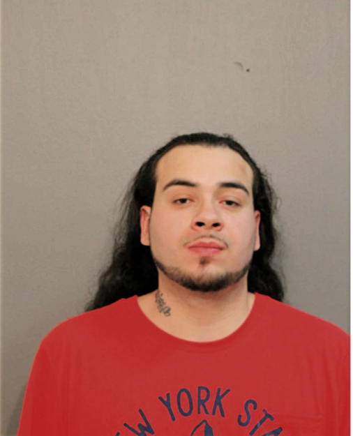 HORACIO LOERA, Cook County, Illinois