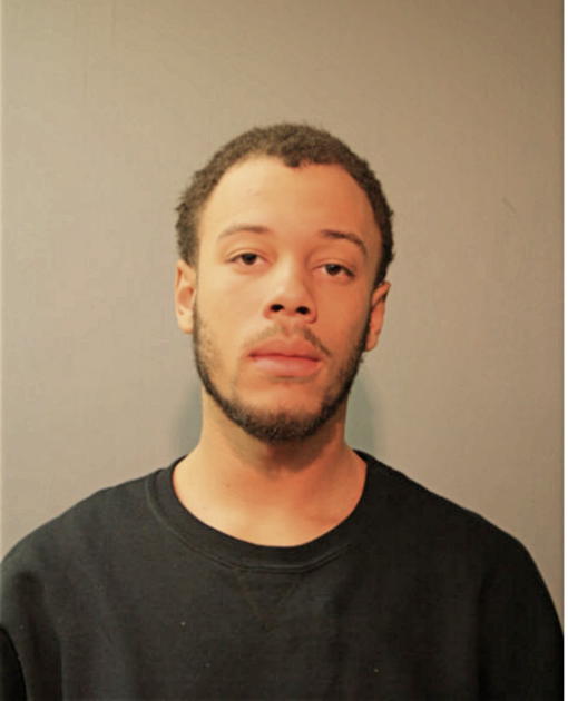 MARK A MANNING, Cook County, Illinois
