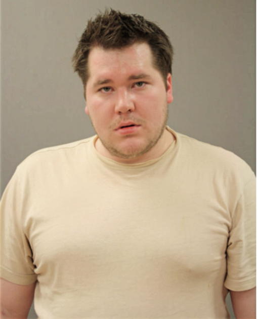 BRIAN B MCCANN, Cook County, Illinois