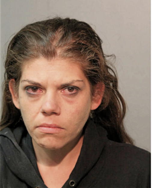 KRYSTIN B NIEMANN, Cook County, Illinois
