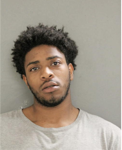 DYLAN K PERKINS, Cook County, Illinois