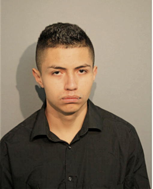 BRANDON RODRIGUEZ, Cook County, Illinois