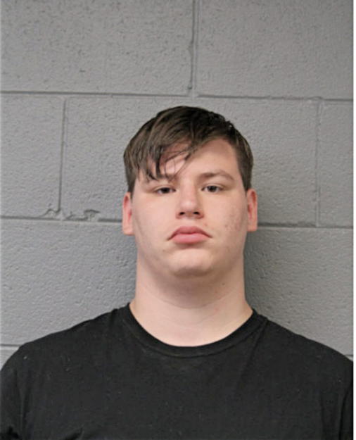 RYAN SCHILTZ, Cook County, Illinois