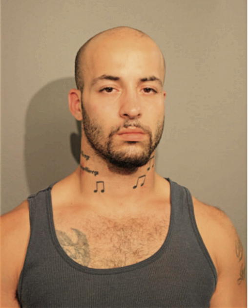 NINOS G SHABANDAR, Cook County, Illinois