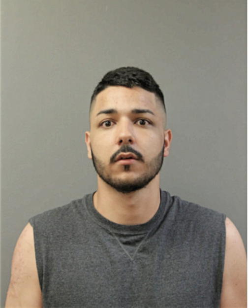 ABDELMUTI N SULEIMAN, Cook County, Illinois