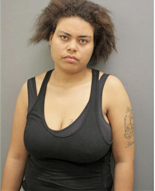 AMBER L THAMES, Cook County, Illinois