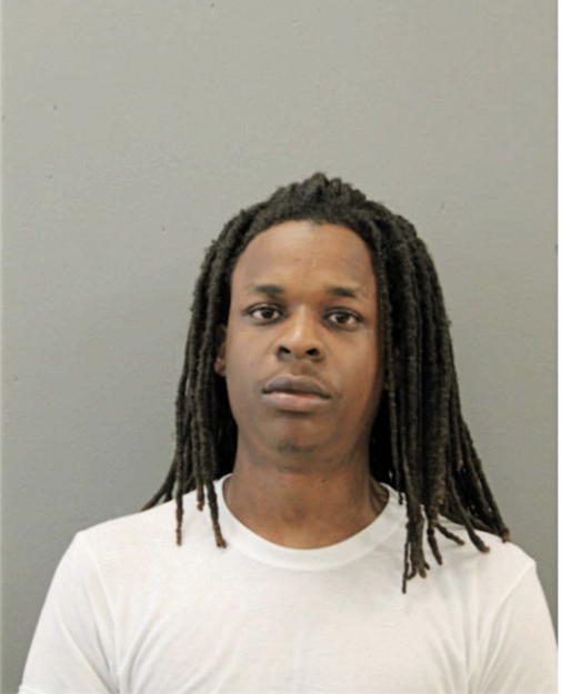 DAVE K AMANKWAH, Cook County, Illinois