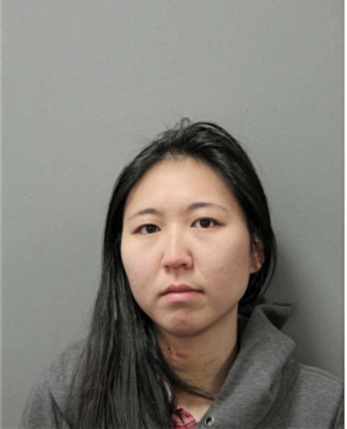 KRISTEN K BAUMAN, Cook County, Illinois