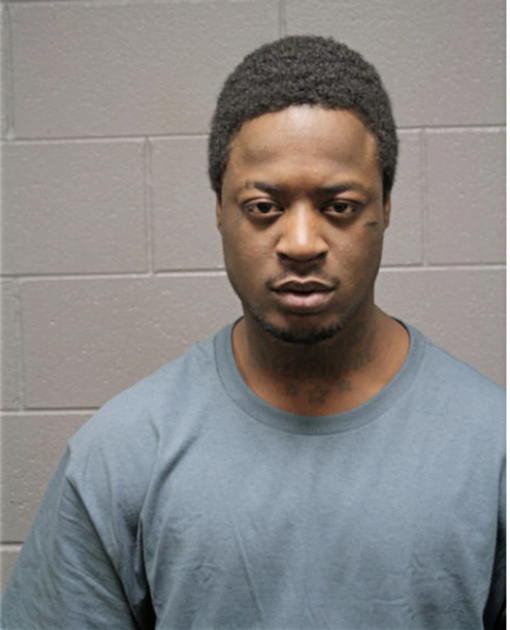 CORSHON M BERGMAN, Cook County, Illinois