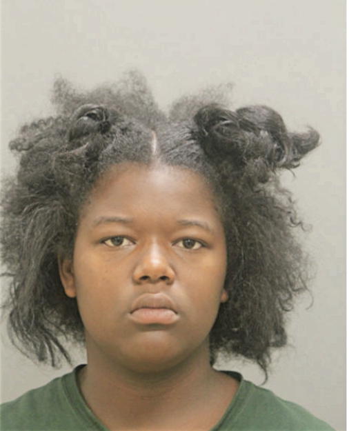 ASHLEY R BOSTON, Cook County, Illinois