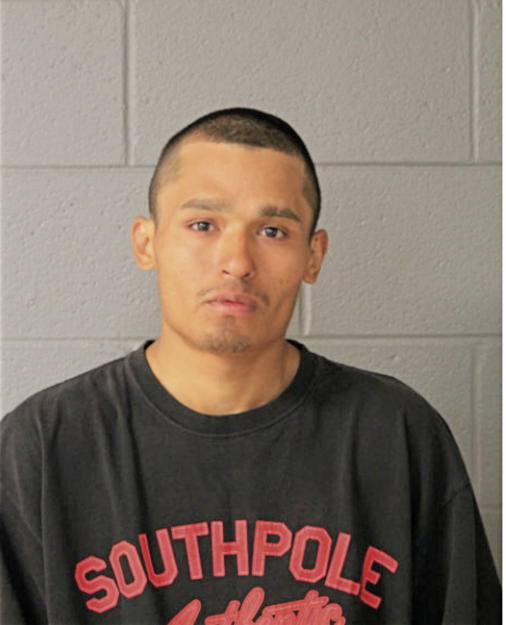 DAVID C CALVILLO, Cook County, Illinois