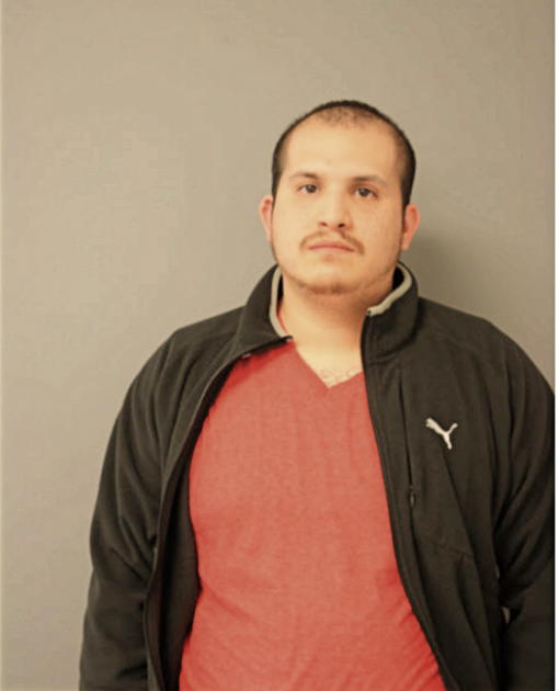 JUAN A CASTELLANOS, Cook County, Illinois