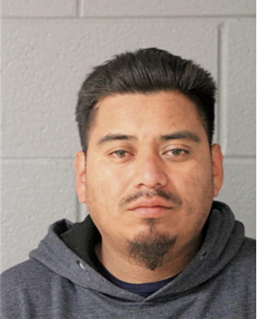 RIGOBERTO C CORREA, Cook County, Illinois