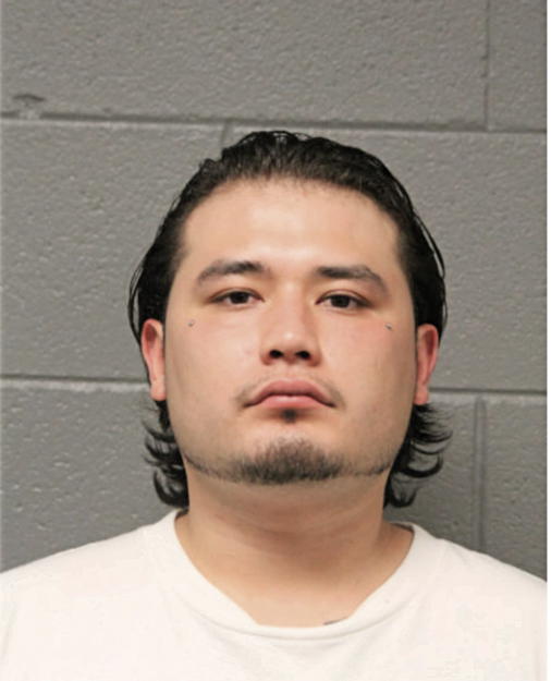 ARTURO DIAZ, Cook County, Illinois