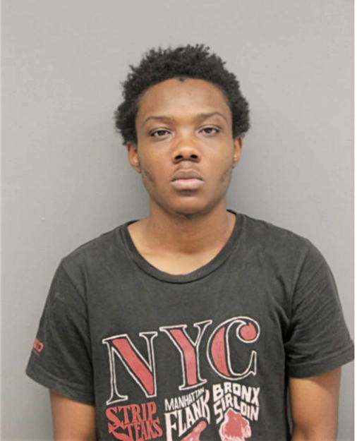 DEQURION GOODWIN, Cook County, Illinois