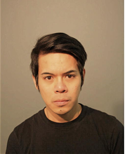 XANDER P HERNANDEZ, Cook County, Illinois