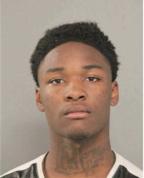 LATROY L HODGES, Cook County, Illinois