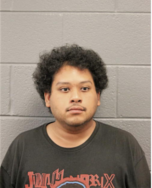 STEVEN TERRELL HOLLIDAY, Cook County, Illinois