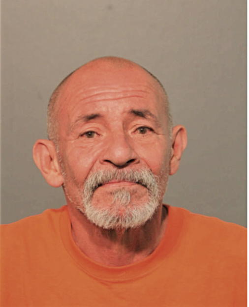CARLOS N IRIZARRY, Cook County, Illinois