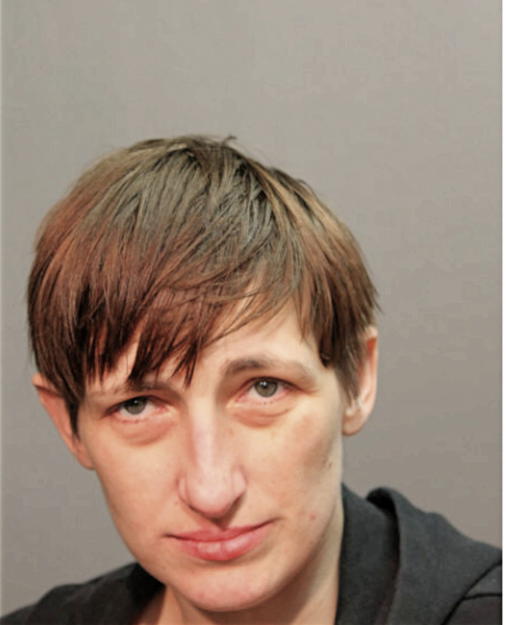 AGATA JANIK, Cook County, Illinois
