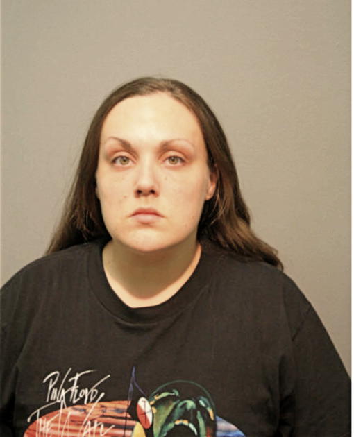 ROBYN A JOHNSON, Cook County, Illinois