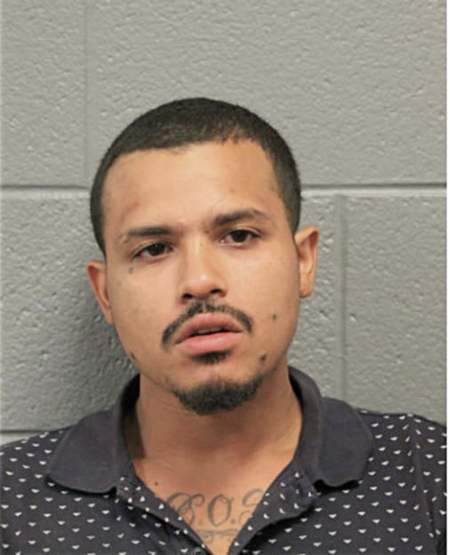TOBY L JONES, Cook County, Illinois