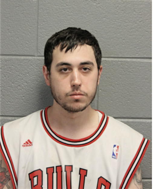 MICHAEL J MASSARI, Cook County, Illinois