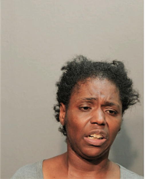 TAMIKA N MCKINNIS, Cook County, Illinois