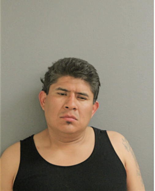 CIRILO MENA, Cook County, Illinois