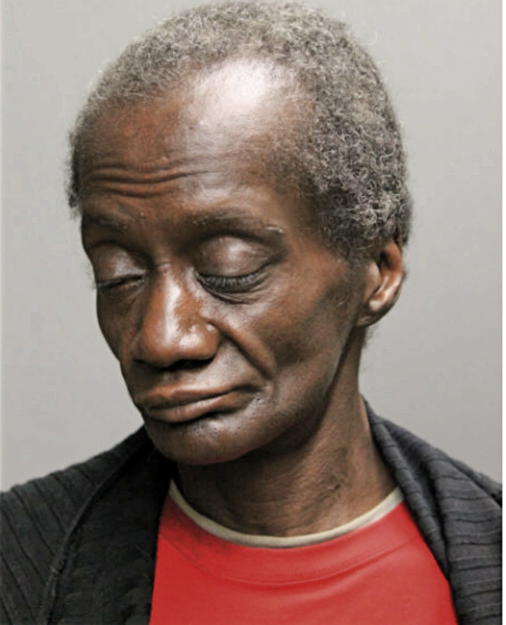 BRENDA J PELTS, Cook County, Illinois