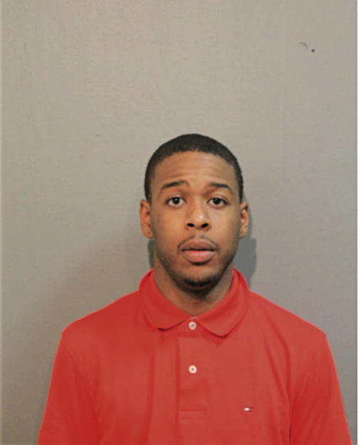 PATRICK D PERRY, Cook County, Illinois