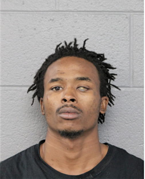 TIMOTHY J PITTMAN, Cook County, Illinois