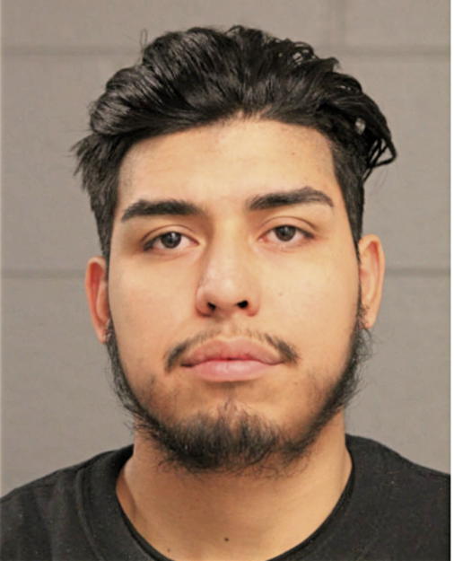 MAURICIO REYNA, Cook County, Illinois